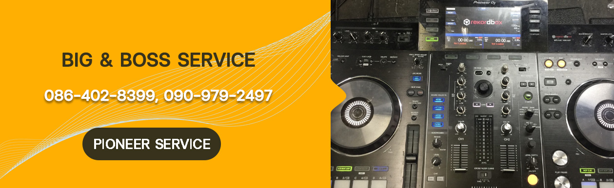 Pioneer Service 2