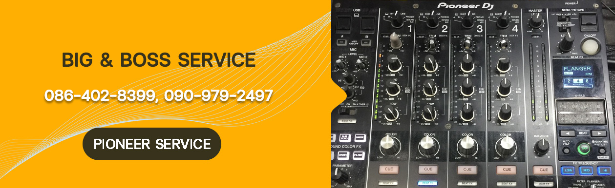 Pioneer Service 2